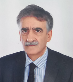Mustafa SARI